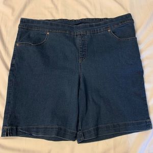Terra & Sky Women’s Shorts